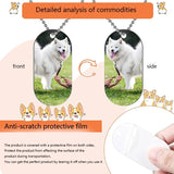 31Pcs Double Sided Sublimation Stamping Dog Name Tags