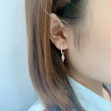 S925 Sterling Silver Diamond Earrings Female Ice Cream Sorbet