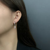 S925 Silver Diamond Earrings Female Sorbet