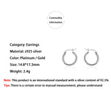 925 Silver Twist Ear Hook Earrings Women's Jewelry