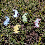 img_12119164