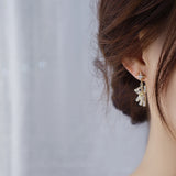 Hot 14k Real AA Zircon Star Bear Unique Banquet Party Earrings