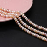 Mixed-Color Rice-Shaped Pearl Beads 5-6 MM DIY Jewelry Making