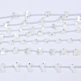 Natural Shell Bead Mother Of Pearl DIY Beads
