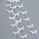Natural Shell Bead Mother Of Pearl DIY Beads