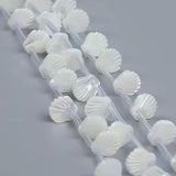 Natural Shell Bead Mother Of Pearl DIY Beads