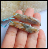 Hot Natural Stone Bamboo Agate Earring Bead 45x10x5mm Jewelry Women Earrings