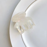 Acetate Tortoiseshell Leopard Hair Claw Clips Mini Plain Hair Acessories