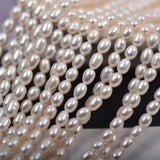 3.5-4mm Rice Pearl DIY Jewelry Necklace Accessory Natural Freshwater Beads
