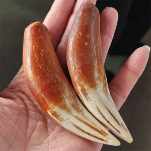 Hand-carve National Style Animal Tooth Necklace Pendant Jewelry MenWomen Luck