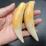 Hand-carve National Style Animal Tooth Necklace Pendant Jewelry MenWomen Luck