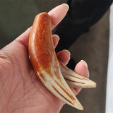 Hand-carve National Style Animal Tooth Necklace Pendant Jewelry MenWomen Luck
