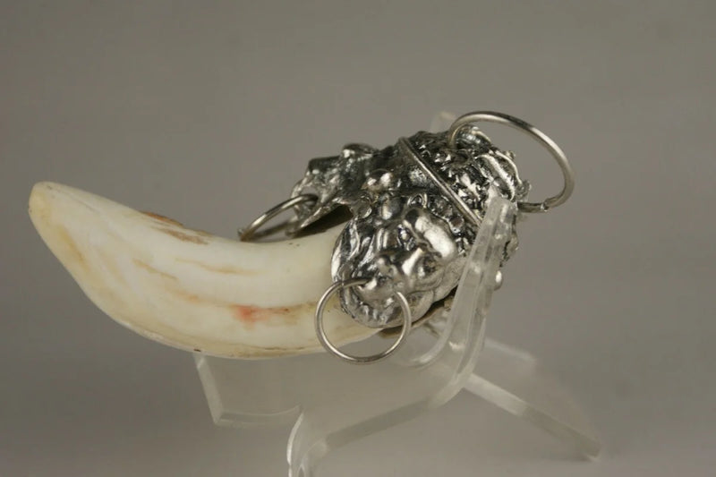 Tiger Tooth Silver Charms Pendant Female Male Accessories