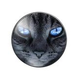 10pcs Cat Eyes Cat Photo Glass Cabochons Jewelry Accessories