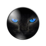 10pcs Cat Eyes Cat Photo Glass Cabochons Jewelry Accessories