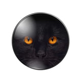 10pcs Cat Eyes Cat Photo Glass Cabochons Jewelry Accessories