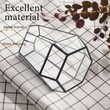 Hexagonal Glass Vase for Mini Garden Landscape