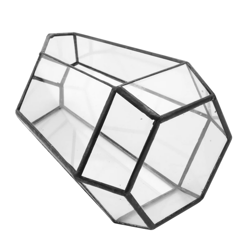 Hexagonal Glass Vase for Mini Garden Landscape