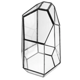 Hexagonal Glass Vase for Mini Garden Landscape