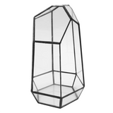 Hexagonal Glass Vase for Mini Garden Landscape