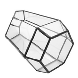Hexagonal Glass Vase for Mini Garden Landscape