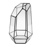 Hexagonal Glass Vase for Mini Garden Landscape