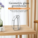 Hexagonal Glass Vase for Mini Garden Landscape
