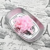 Hydrangea Dried Flower Preserved Decor Crafts Garland Wedding Party Decoration
