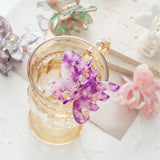 Small Butterfly Catch Acetate Hair Clip Claws Spring Accessories