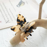 Small Butterfly Catch Acetate Hair Clip Claws Spring Accessories