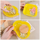 Crystal Epoxy Resin Mold for Jewelry Show Plate