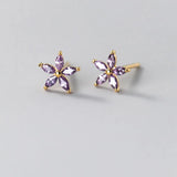 925 Silver Zircon Star Stud Earrings Women Party Jewelry