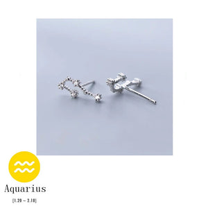 925 Silver Twelve Constellations Stud Earring For Women Fine Jewelry Gift
