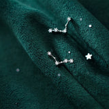 925 Silver Twelve Constellations Stud Earrings for Women