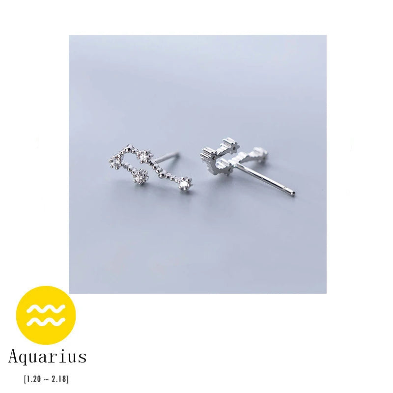 925 Silver Twelve Constellations Stud Earrings for Women