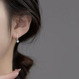 925 Silver Zircon Pendant Hook Earrings for Women