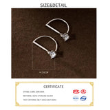 925 Silver Zircon Pendant Hook Earrings for Women