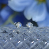 Sky Moonstone Earrings S925 Silver Studs for Women Gift