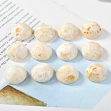 Avocado Green Resin Semi-Circular Patch DIY Earring Jewelry Materials 10 pcs