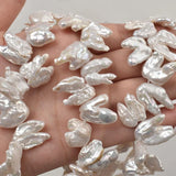 Freshwater Pearl Baroque Alien Teeth 14-16mm 15in Necklace Charms