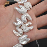 Freshwater Pearl Baroque Alien Teeth 14-16mm 15in Necklace Charms