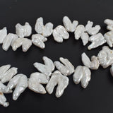Freshwater Pearl Baroque Alien Teeth 14-16mm 15in Necklace Charms