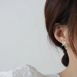 Micro-inlaid Zircon Leaf Earrings for Women