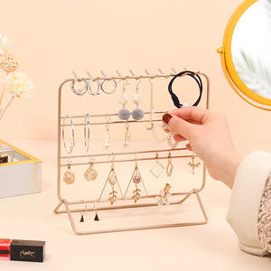 Iron Metal Hanging Jewelry Organizer for Earrings, Necklaces, Bracelets