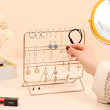 Iron Metal Hanging Jewelry Organizer for Earrings, Necklaces, Bracelets