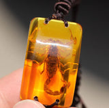 Insect Bracelet Scorpion King Safe Evil Birthday Jewelry Bag Mail