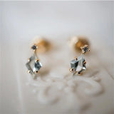 Silver Inlaid Diamond Mini Stud Earrings