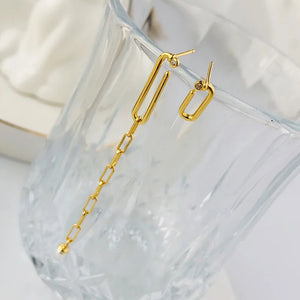 Irregular 925 Silver Chain Earrings Women Earrings Silver 925 Jewelry