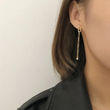 Irregular 925 Silver Chain Earrings Women Earrings Silver 925 Jewelry