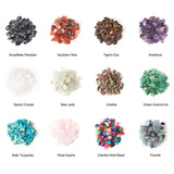 Natural Stone Healing Chip Beads Kit with Shell Beads